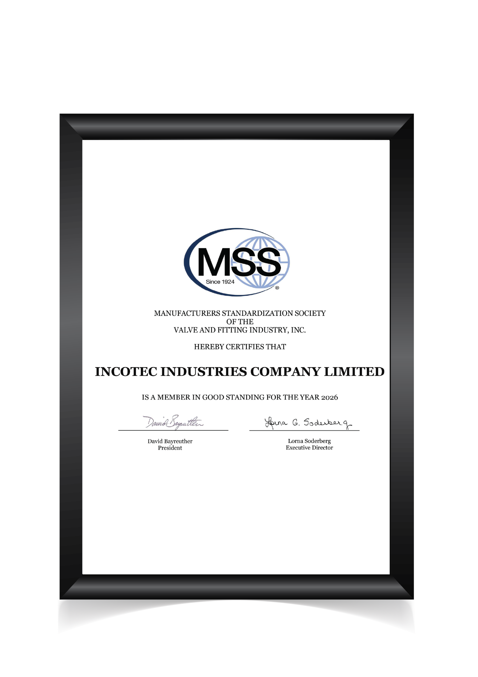 certificates template-01